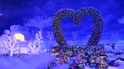 Luxurious Birthday Function interior decoration Stock Footage 54279146