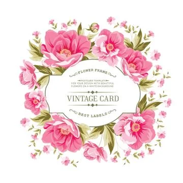 Luxurious color peony pattern. Stock Illustration