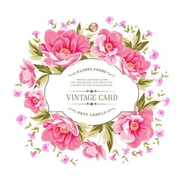 Luxurious color peony pattern. Stock Illustration