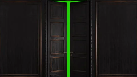 Luxurious empty room with classic paneling and double door. Video stock 329706352
