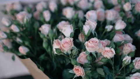 Luxurious floristic composition with blurred foreground copy space. Huge bouquet Stock Footage 152563977