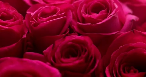 Luxurious floristic composition with blurred foreground copy space. Huge bouq Stock Footage 300365716