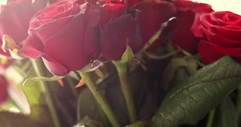 Luxurious floristic composition with blurred foreground copy space. Huge bouq Stock Footage 300365966