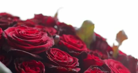 Luxurious floristic composition with blurred foreground copy space. Huge bouq Stock Footage 300365999