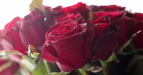 Luxurious floristic composition with blurred foreground copy space. Huge bouq Stock Footage 300366063