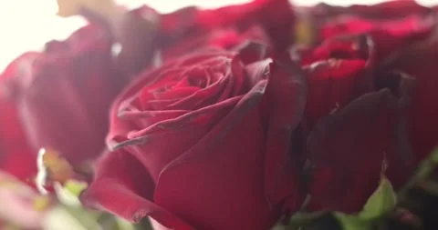 Luxurious floristic composition with blurred foreground copy space. Huge bouq Stock Footage 300366353