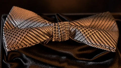 Luxurious geometric pattern silk bow tie on black -golden light 4k Stock Footage 98406495