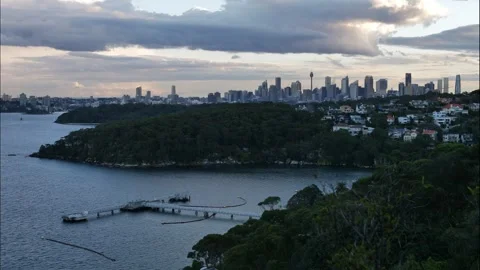 Luxurious homes surrounded by trees and Sydney cityscape at sundown time l Stock Footage 277919666
