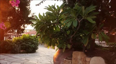 Luxurious hotel courtyard Stock Footage 20587889