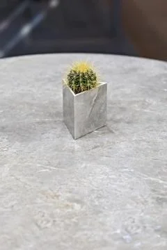 Luxurious marble dining table. Marble triangle pot with mini cactus on gray t Stock Photos