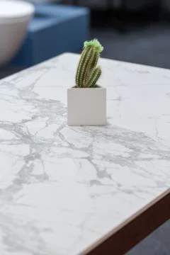 Luxurious marble dining table. Marble triangle pot with mini cactus on white  Stock Photos