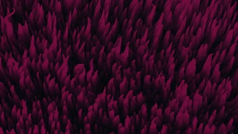 Luxurious maroon zigzag patterned rug close-up Stock-Footage 315163398