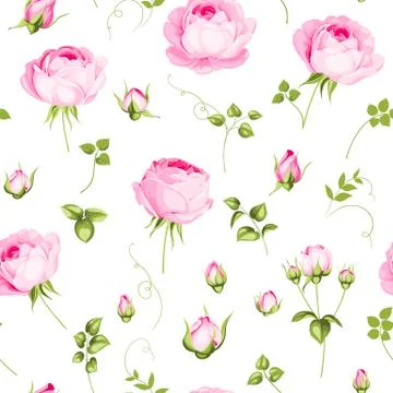 Luxurious rose wallapaper. Stock Illustration