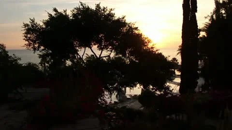 Luxurious vegetation by the sea Stock-Footage 20588055