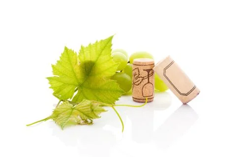 Luxurious wine drinking background. Stock Photos