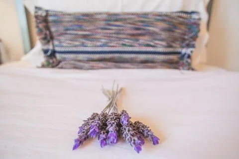 Luxury accommodation background, with copy space showing Lavender on pillow at a Stock Photos