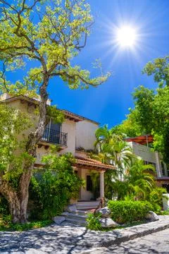 Luxury authentic historical villa in shadow of trees in Playa del Carmen, Yuk Stock Photos