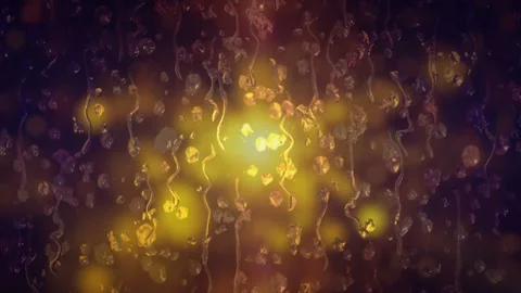 Luxury Background Rain 스톡 동영상 315402962