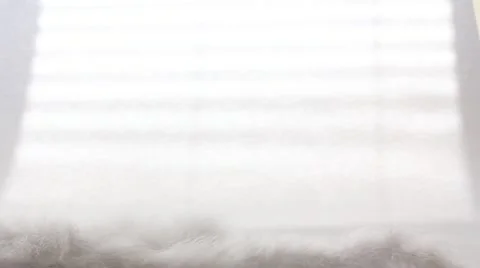 Luxury backgrouund Video stock 10699137