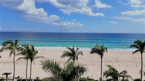 Luxury Beachfront Condo Pool with Palm Trees – Cinematic Drone Shot Stock Footage 338197477
