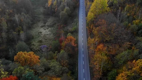 Luxury car on road on the field background 库存影片 126395341