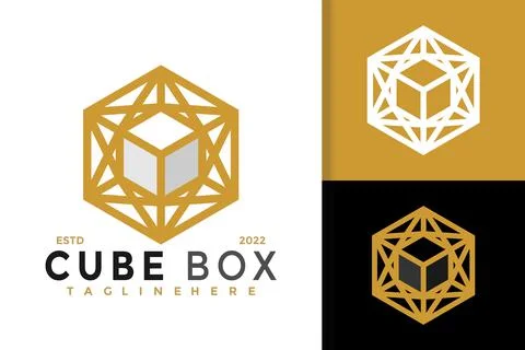 Luxury Cube Box Star Logo Design, Brand Identity logos vector, modern logo, L Stockillustratie