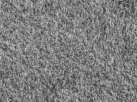 Luxury Fluffy Gray Texture Background for Mockups Stock Photos