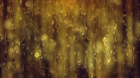 Luxury Gold Rain 스톡 동영상 315310056