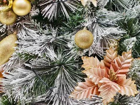 Luxury Holiday Design Elements, Refined Seasonal Motifs Combining Gold Accents Stock Photos