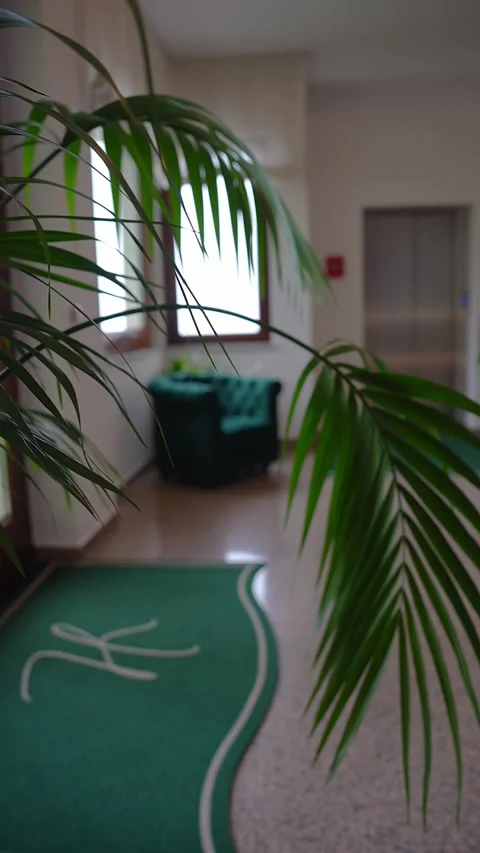 Luxury Hotel Interior with Palm Leaf and Modern Elevator in Italy Stock Footage 308815462