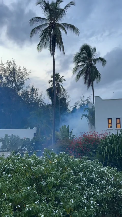 Luxury hotel territory after using there Mosquito Repellent Smoke Machine Stock Footage 332051155