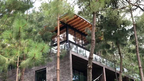 Luxury house at the forest Stock Footage 101857699