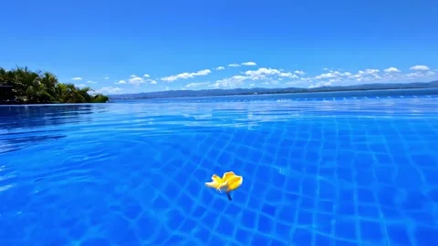Luxury infinity pool experience at Mactan Island resort Stock Footage 337135526