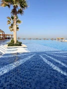 Luxury infinity pool overlooking calm sea with palm trees under clear blue sky Stockfoto's