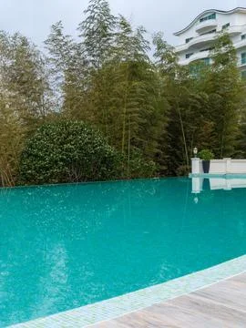 Luxury Infinity Pool Overlooking Lush Greenery Stock Photos