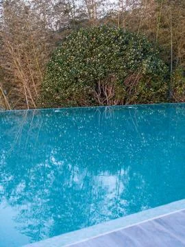 Luxury Infinity Pool Overlooking Lush Greenery Stock Photos