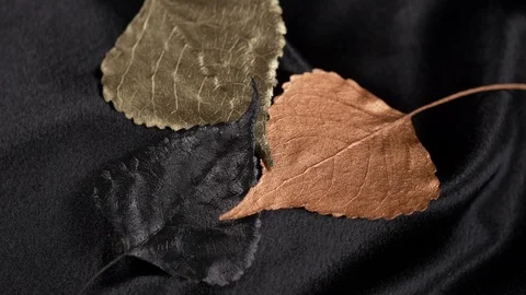 Luxury iridescent populus leaf rotating on black 4k. Stock Footage 97358020