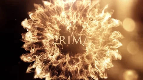 Luxury Logo Slam - Luxury Text or Logo Intro Stock After Effects