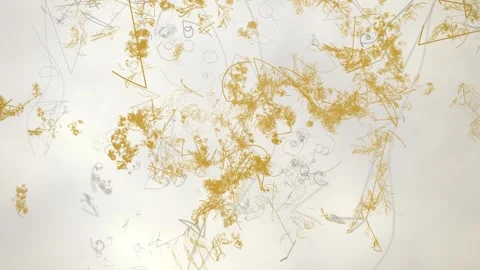 Luxury marble background Stock Footage 341696815