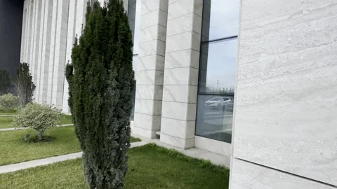 A luxury marble building and tree Stock Footage 236825236