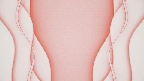 Luxury Pattern Red Seamless Loop Background Stock Footage 212061315