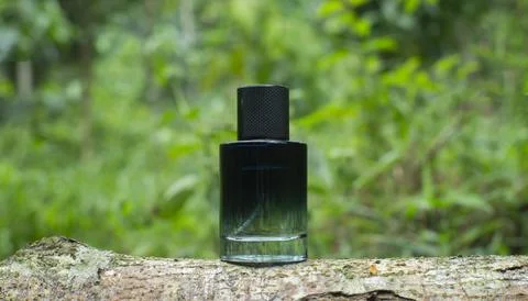 Luxury Perfume Bottle Displayed on Rustic Surface in Natural Garden Stock Photos