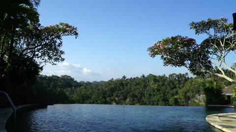 Luxury pool over tropical forest. Stock-Footage 67196301