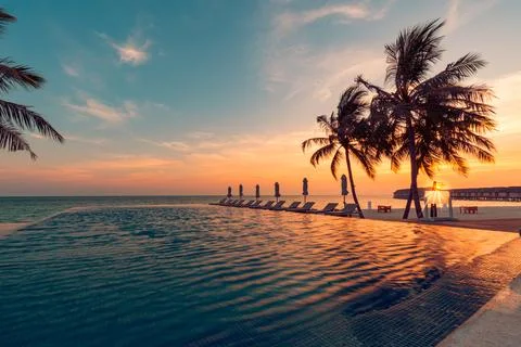 Luxury pool sunset, palm tree silhouette with windy infinity pool water sur.. Stock Photos