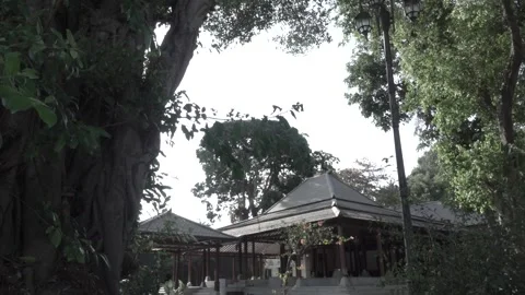 The luxury of the prince / king's house in Java || Joglo House 스톡 동영상 242740640