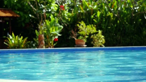 A luxury private reflected the sun in swimming pool surrounded by a paradise Stock Footage