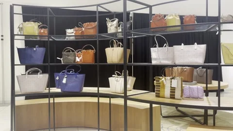Luxury Purses at Nordstrom Store Stock-Footage 241377402