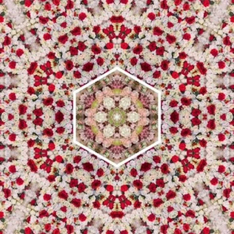 Luxury red rose design concept, Seamless geometry Circle Kaleidoscope Stock Footage 227526609