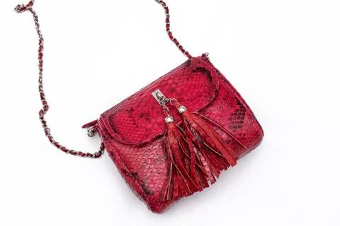 Luxury red snakeskin python leather handbag isolated on a white background. Photos