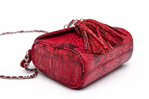 Luxury red snakeskin python leather handbag isolated on a white background. Photos